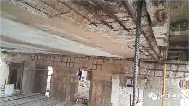 1468981859313423.jpg 3_看图王.web.jpg