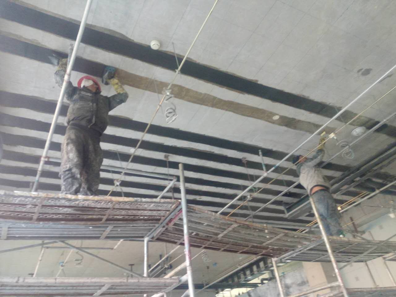 1561438547754309.jpg IMG_4906.JPG